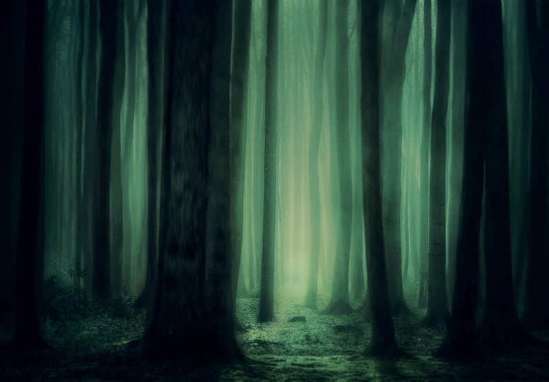 Mystical Woodland Oasis