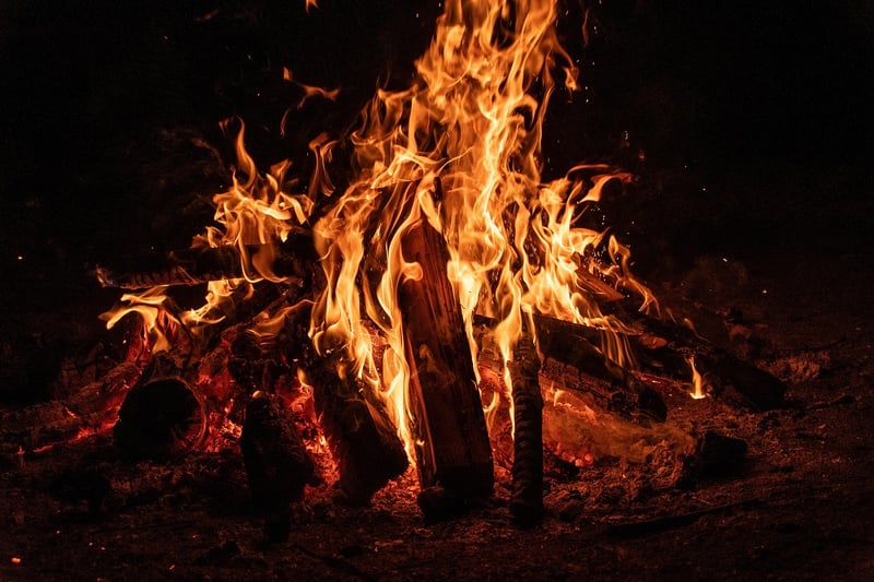 Campfire in the woods