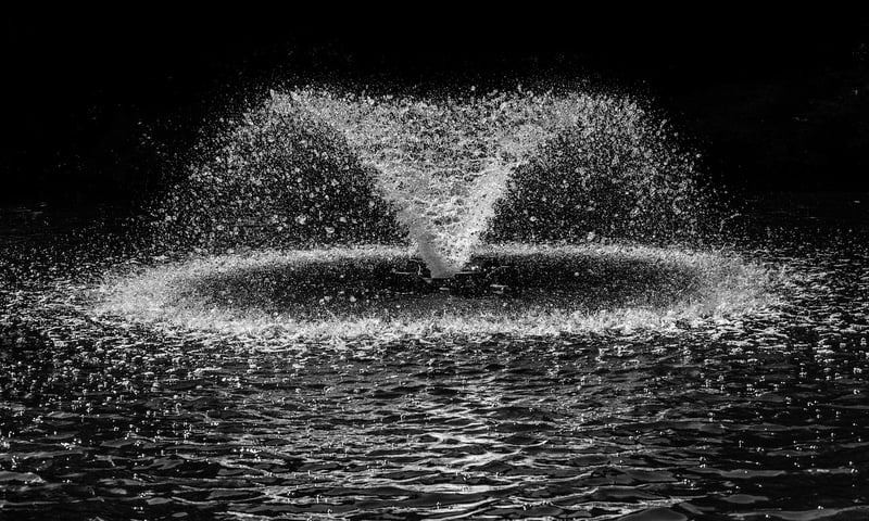 Water Fountain
