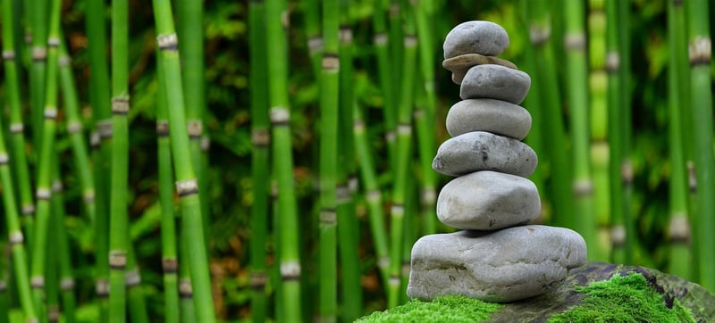 Rock Garden